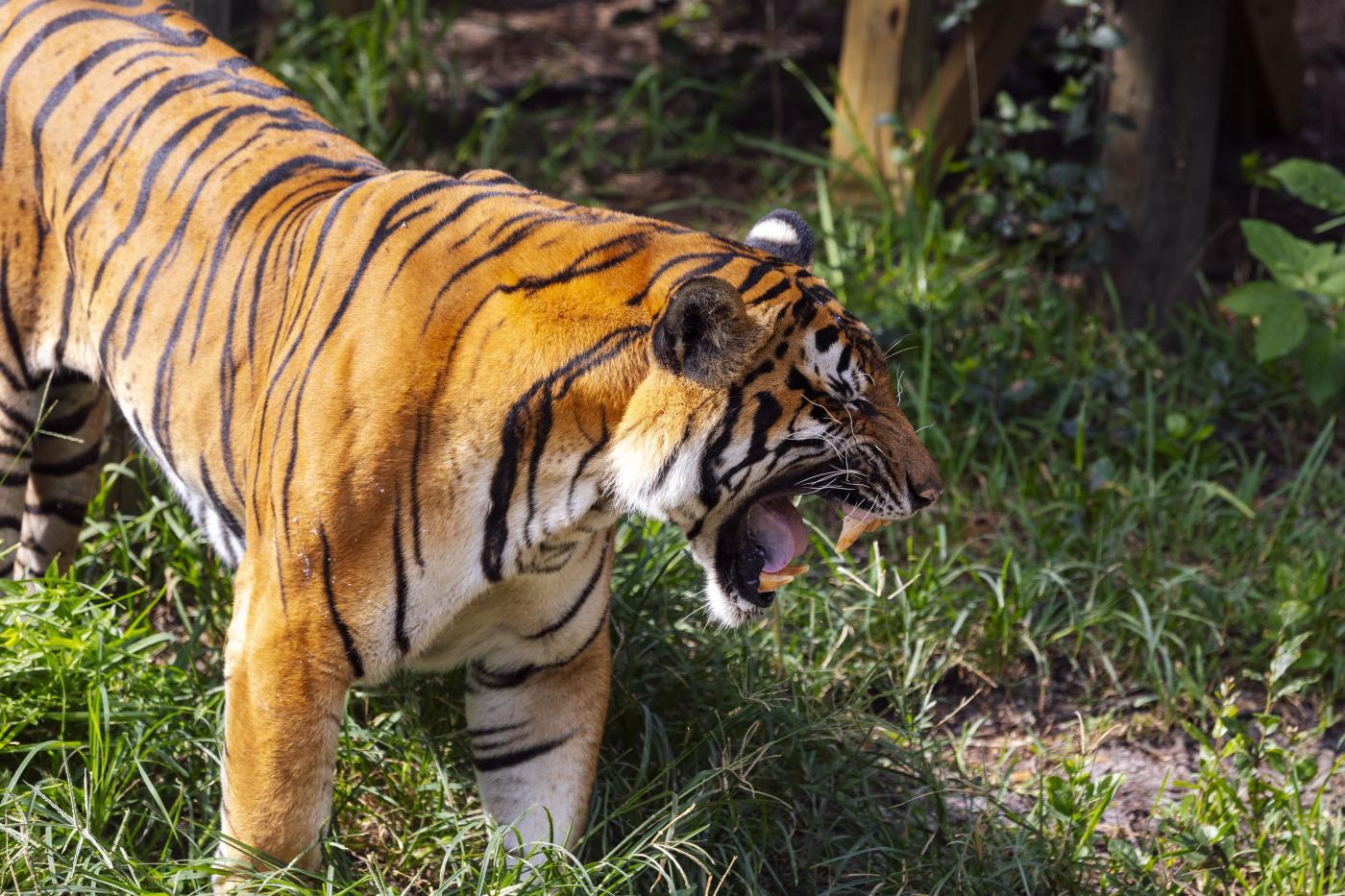 ZooTampa