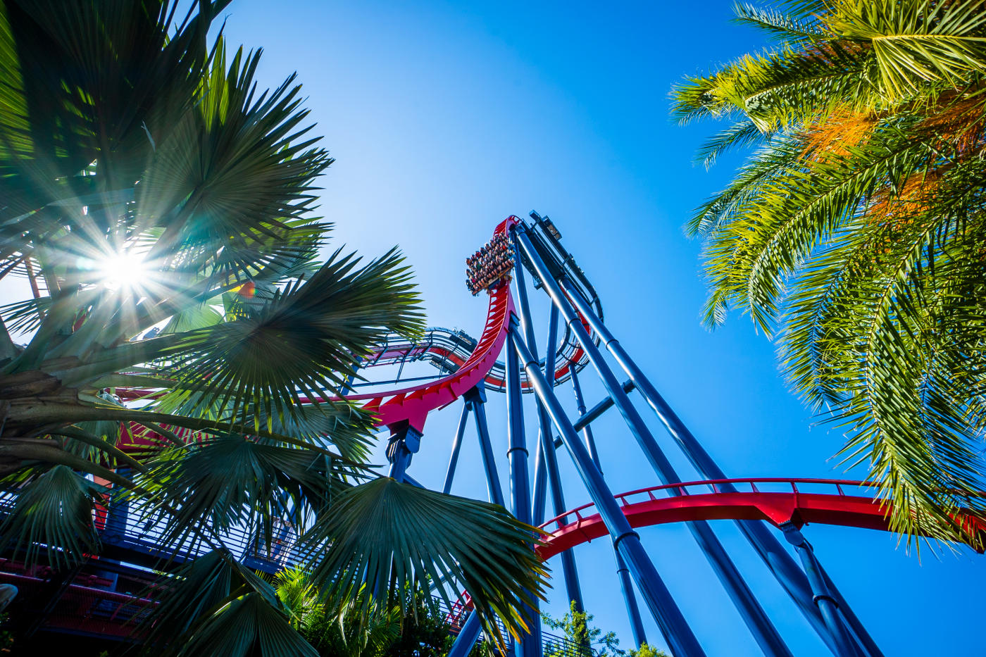 BUSCH GARDENS